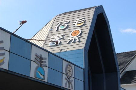 宿毛青果 宿毛産文旦 10kg 当店イチオシ 文旦