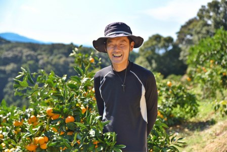 羽賀農園 完熟 ポンカン 10kg みかん みかん