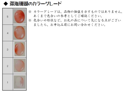 深海の秘宝：珊瑚の置物D 珊瑚