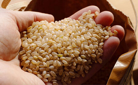 【令和5年産】酵素が3.9倍！「乳酸菌生産エキス栽培」玄米 10kg