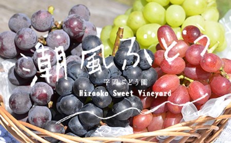 【2020年夏お届け分】潮風®ぶどう ピオーネ 1kg
