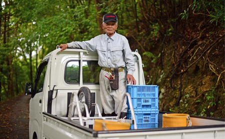 ばんかん 5kg 家庭用 晩柑 みかん 河内晩柑 蜜柑 フルーツ スイーツ お裾分け デザート 柑橘 ジャム お菓子 結果樹園 宿毛市 高知県