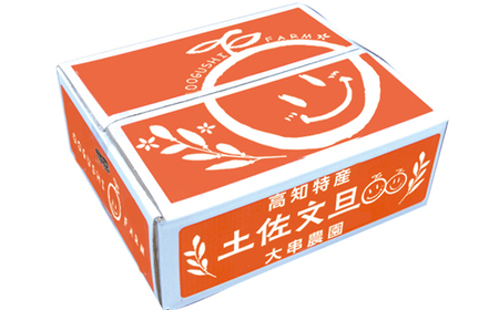 大串農園 土佐文旦3.5kg家庭用 文旦