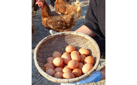 宿毛 贅沢TKG（たまごかけごはん）セット 卵 卵