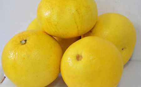 【定期便3回】なるた果樹園 みかん 定期便 C 土佐文旦 小夏 温州みかん ぶんたん 文旦 果物 フルーツ 3回 季節 高知 宿毛 みかん ジャム マーマレード みかん