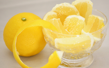 【定期便3回】なるた果樹園 みかん 定期便 C 土佐文旦 小夏 温州みかん ぶんたん 文旦 果物 フルーツ 3回 季節 高知 宿毛 みかん ジャム マーマレード みかん