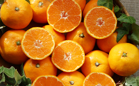 【定期便3回】なるた果樹園 みかん 定期便 C 土佐文旦 小夏 温州みかん ぶんたん 文旦 果物 フルーツ 3回 季節 高知 宿毛 みかん ジャム マーマレード みかん