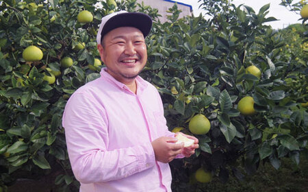 ハッピーフルーツ果樹園 電子文旦10kg贈答用 文旦