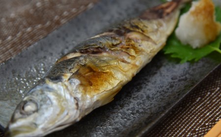 すくも お手軽焼き魚セット 魚