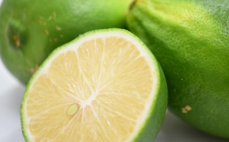 なるた果樹園の家庭用グリーンレモン　3kg