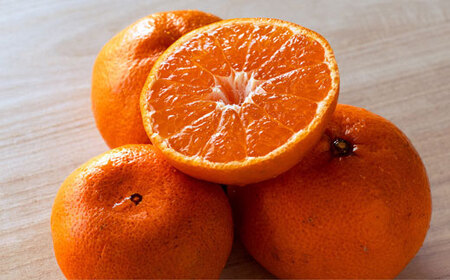 羽賀農園 温州 みかん 5kg みかん