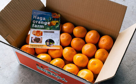 羽賀農園 温州 みかん 5kg みかん