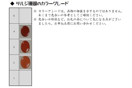 地中海珊瑚ロングネックレス（201118-3）