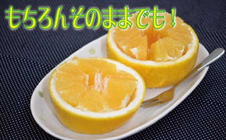 宿毛産河内晩柑家庭用5kg