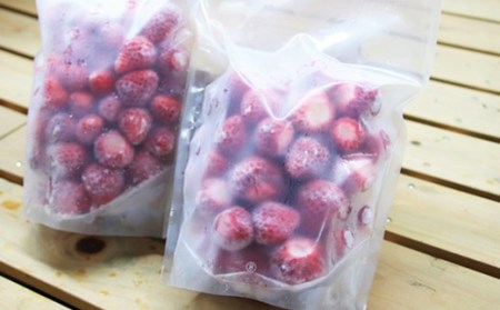 【2024年5月以降お届け分】フレッシュ冷凍イチゴ春摘み「さがほのか」500g×2袋