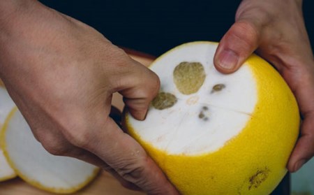 石黒定行 土佐文旦5kg贈答用 文旦