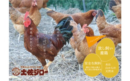 高知県特産鶏『土佐ジロー』の親鶏肉1羽分まるまるパック×3パック＋鶏