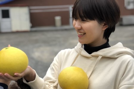 彩り柑橘園 土佐文旦 家庭用 5kg 文旦