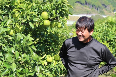 彩り柑橘園 土佐文旦 家庭用 10kg 文旦