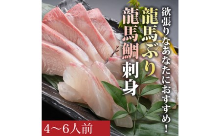 龍馬ぶり・龍馬鯛刺身｜高知県宿毛市｜ポイント制ふるさと納税「ふる