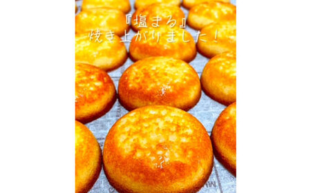 幡多銘菓 塩まる 菓子 菓子