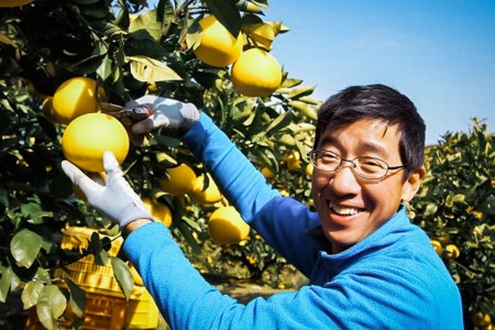 まつおか文旦堂の土佐文旦5kg家庭用「ムッキーちゃん付き」