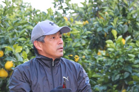 小野果樹園の文旦【家庭用】10kg