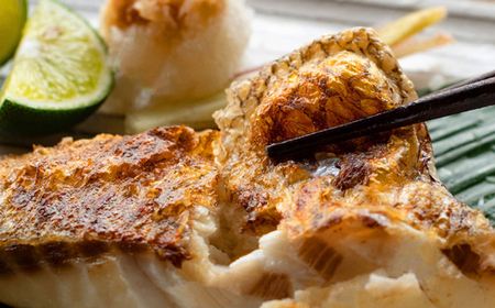 生姜真鯛 干物 6枚セット 干物