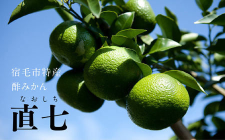 土佐クラフトソーダー 幻の柑橘直七スパークリング 6本セット | 高知県