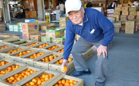 宿毛青果の宿毛産文旦10kg家庭用(小玉)