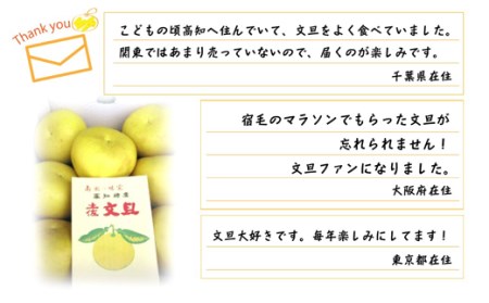 宿毛青果の宿毛産文旦10kg家庭用(小玉)