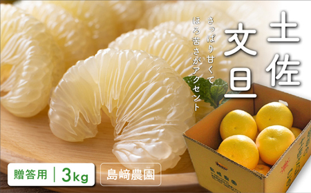 島﨑農園 土佐文旦 3kg 贈答用