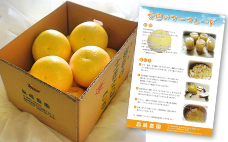 島﨑農園 土佐文旦 3kg 贈答用