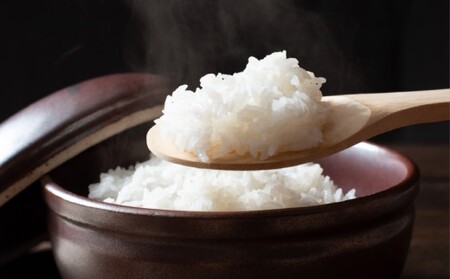 【令和7年産米・7月末から配送】ふくい農園のおいしいお米（よさ恋美人15kg）予約 受付 低温 貯蔵 酵素 有機質 肥料 贈答 精米 白米