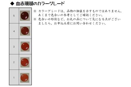 土佐血赤珊瑚のストラップ