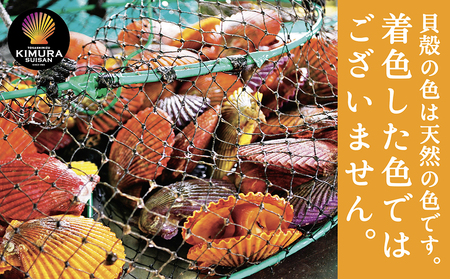 黒潮の恵 冷凍 ヒオウギ貝８個セット（ホタテの仲間）【R00802】