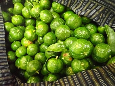 皮ごとシークワーサー果汁100%(300ml×3本セット)【R00359】