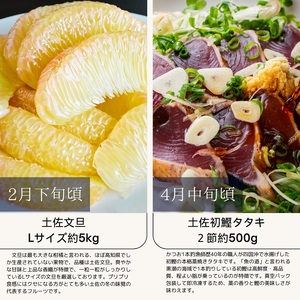 【ふるさと納税】【6回定期便】 数量限定 高知の旬を楽しむ 【J00073】