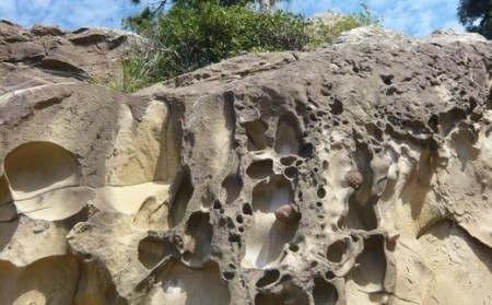 おもてなしタクシーチケット⑤「国立公園足摺・竜串周遊コース」6時間【R00737】