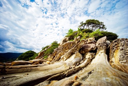 おもてなしタクシーチケット⑤「国立公園足摺・竜串周遊コース」6時間【R00737】