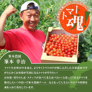 【ふるなびWEEK対象】トマト魂！峯本の贅沢フルティカトマト（中玉サイズ）2kg 【R01032】FN-Limited-PR