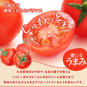 【ふるなびWEEK対象】トマト魂！峯本の贅沢フルティカトマト（中玉サイズ）2kg 【R01032】FN-Limited-PR