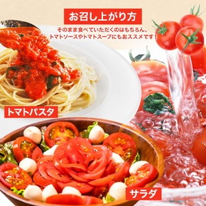 【ふるなびWEEK対象】トマト魂！峯本の贅沢フルティカトマト（中玉サイズ）2kg 【R01032】FN-Limited-PR