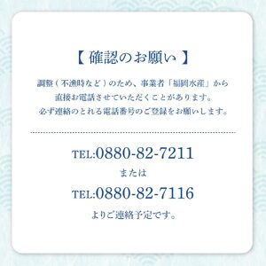 【先行受付10月下旬以降】幻の天然ゾウリエビ１kg（サイズおまかせ）※着日指定不可※【R00620】 