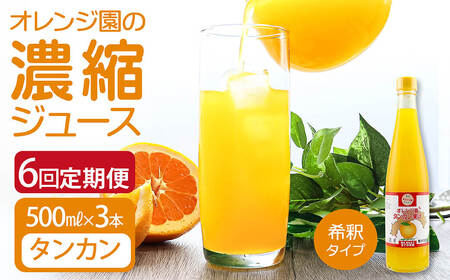 オレンジ園の濃縮ジュース タンカン 500ml 3本 6回定期便 希釈用 【J00113】
