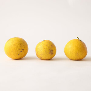 【 令和８年4月発送】<訳あり>谷川果樹園の小夏3kg  【R01146】