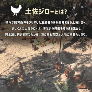 【ふるさと納税】土佐ジローの卵 定期便（12個入り×3回）もみ殻梱包 【J00143】