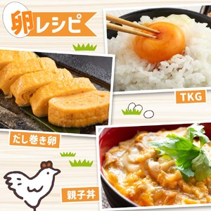 【ふるさと納税】土佐ジローの卵 定期便（12個入り×3回）もみ殻梱包 【J00143】