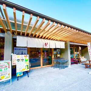 焦がしバスクチーズケーキ 5号(直径15cm) 【R01214】