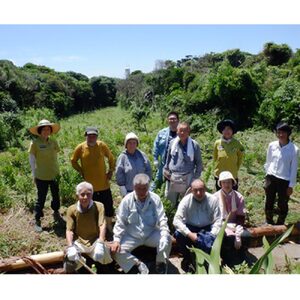 一括寄附で4つの事業を応援！返礼品なし 100,000円（子ども食堂・引退馬の余生応援・椿の森再生・まちづくり支援）【R01226】